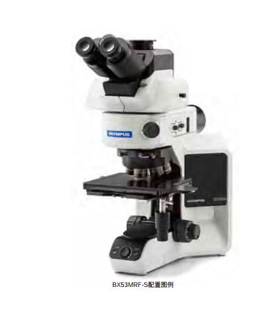 正立式BX53M奧林巴斯金相顯微鏡